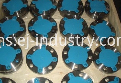 Forging Thread Flange